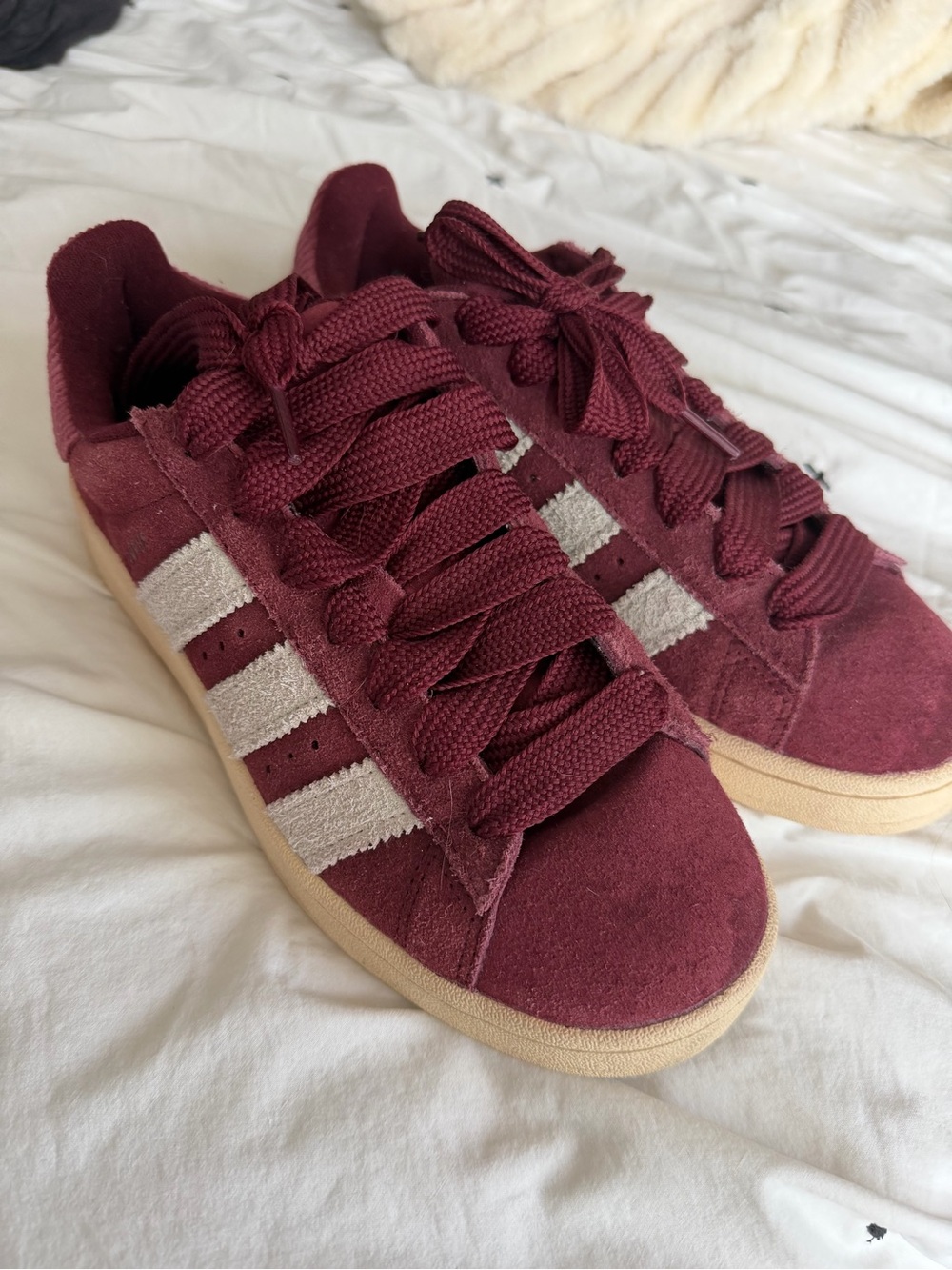 Burgundy Adidas Campus Size 8.5 (run large!)